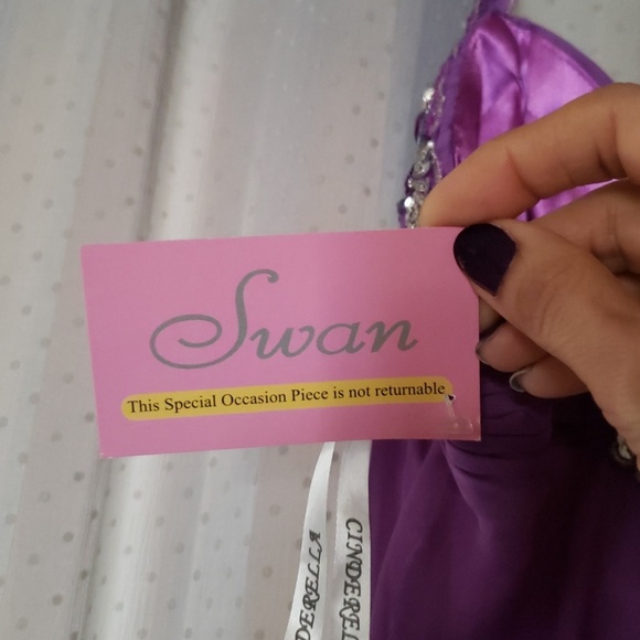 Cinderella by Swan. Special occasion dress - Picture 6 of 7